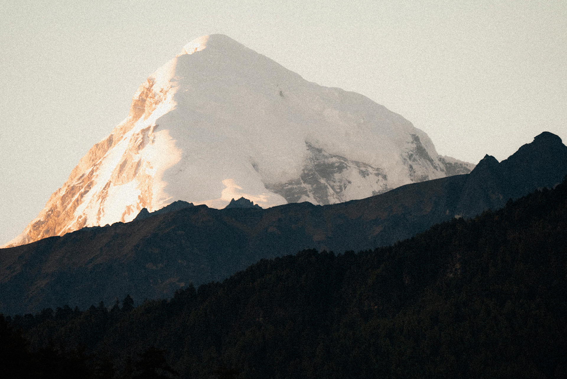 Discover Areas for Greater Purpose & Fulfillment