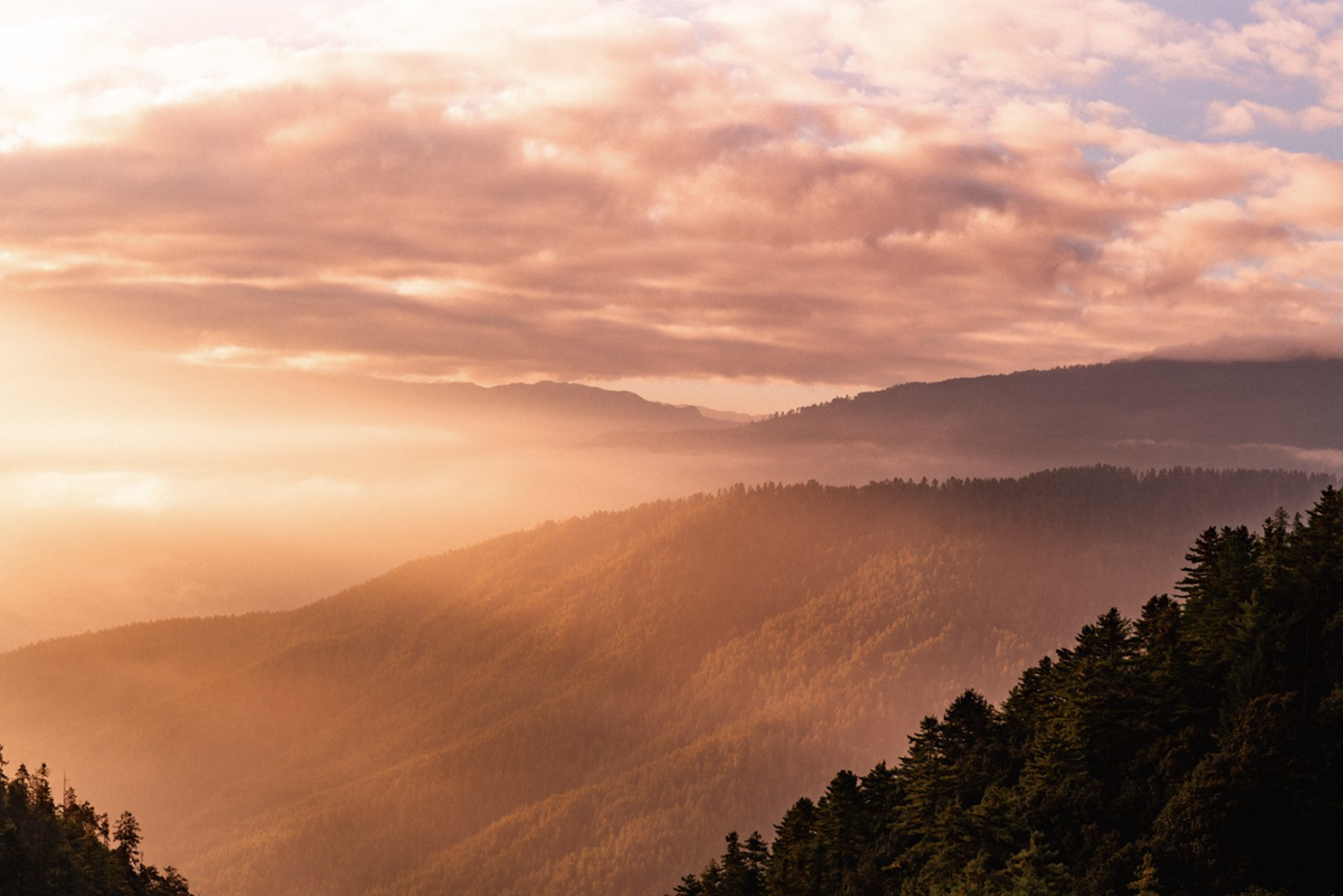 Scientific Measurement of Individual & Cohort Growth